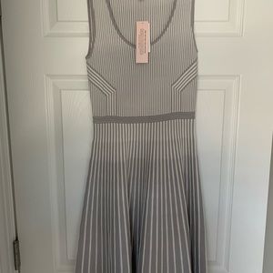 Banana republic gray & white striped dress
